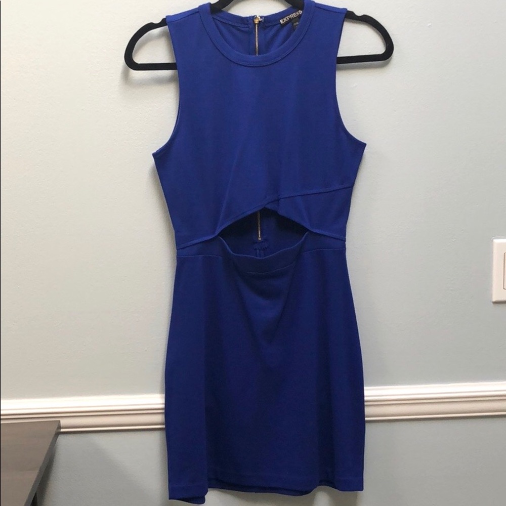 Express bodycon dress
